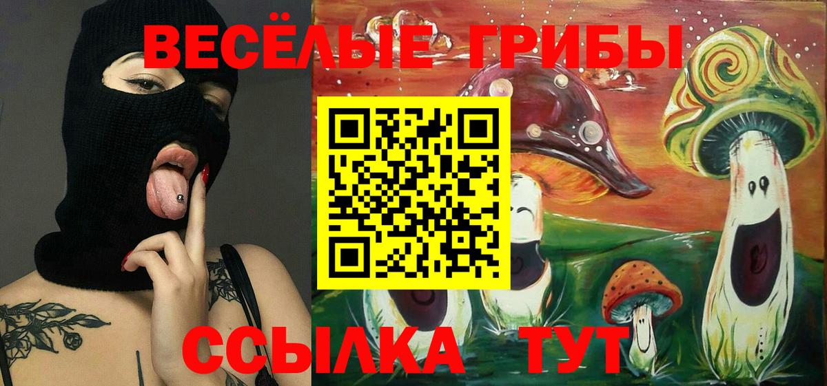 Псилоцибиновые грибы Psilocybe Менделеевск