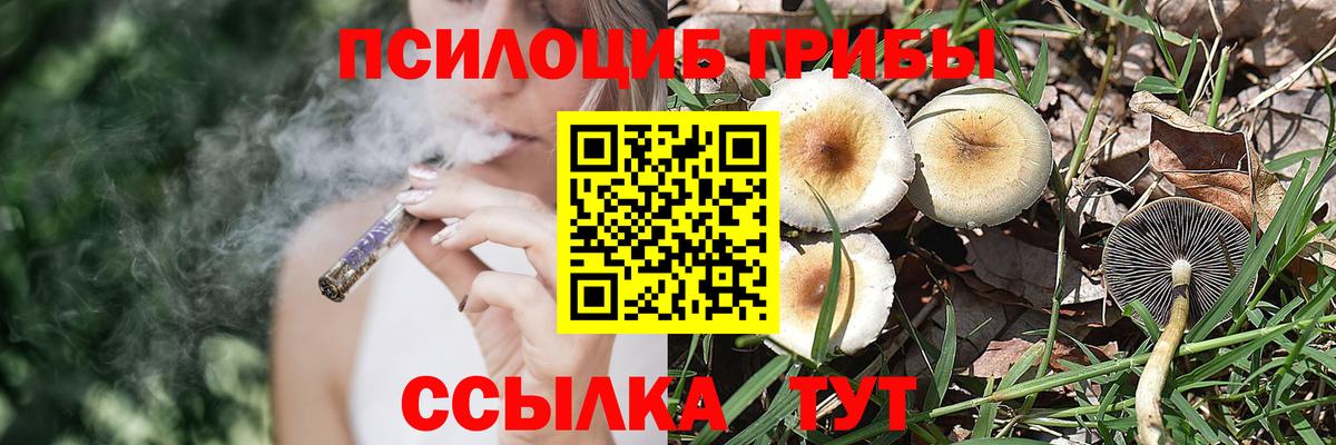 Галлюциногенные грибы Magic Shrooms  Вход с VPN  Менделеевск 